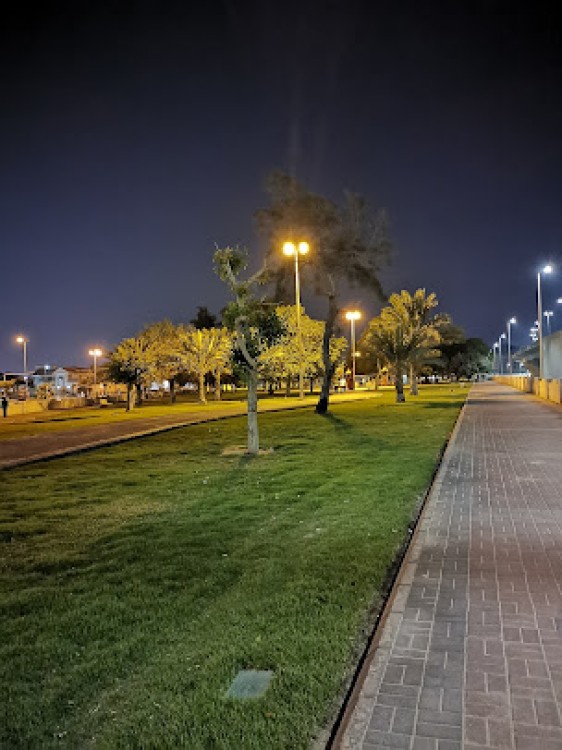حديقة الأمير عبد المحسن بن جلوي