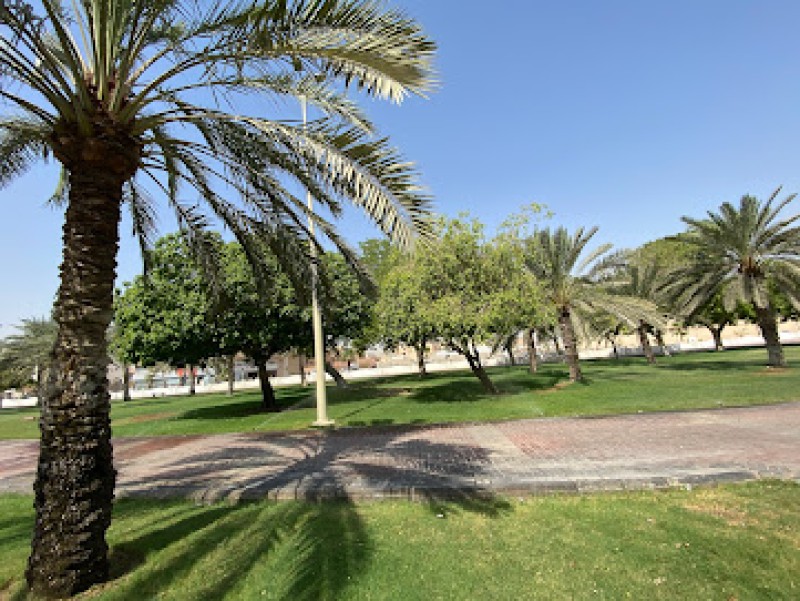 حديقة الأمير عبد المحسن بن جلوي