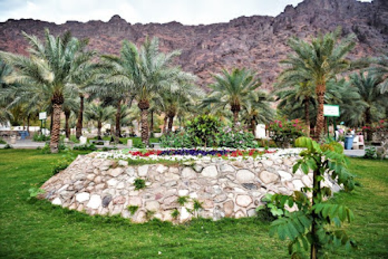 حديقة الأمير محمد بن عبد العزيز