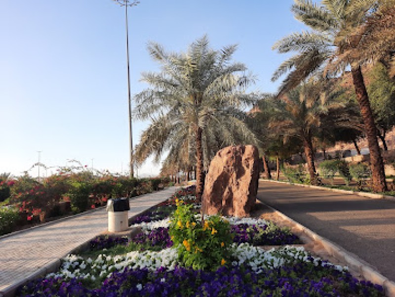 حديقة الأمير محمد بن عبد العزيز
